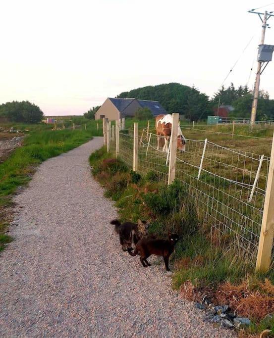 Isla'S Cottage Stornoway  Luaran gambar